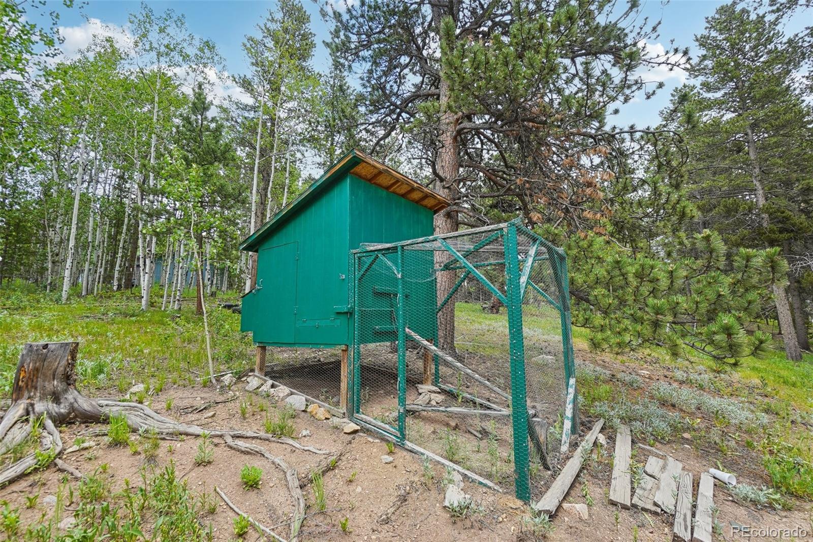 466 Karlann Drive Black Hawk CO 80422