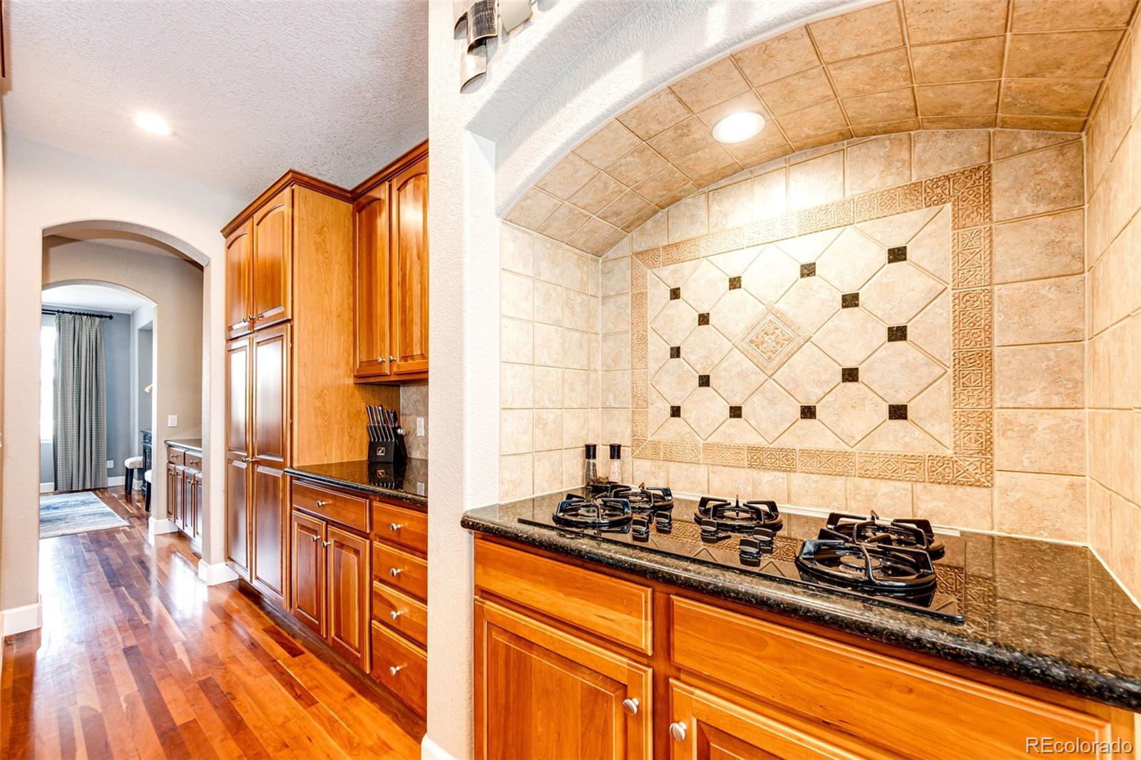 9624 Shenstone Drive Parker CO 80134