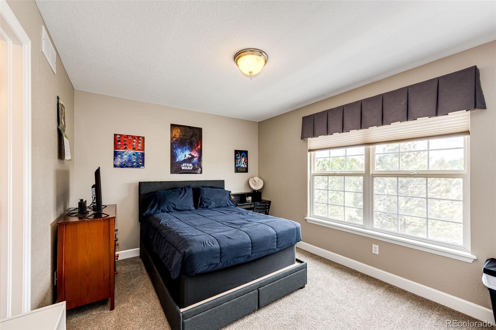 9624 Shenstone Drive Parker CO 80134