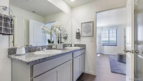 5642 Gelbray Place Windsor CO 80528