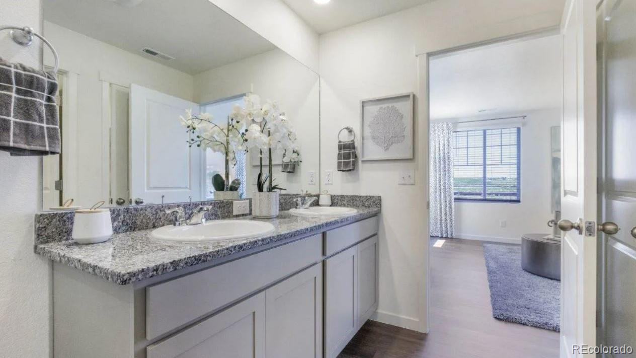 5642 Gelbray Place Windsor CO 80528