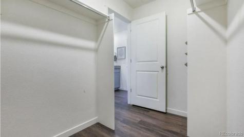5642 Gelbray Place Windsor CO 80528