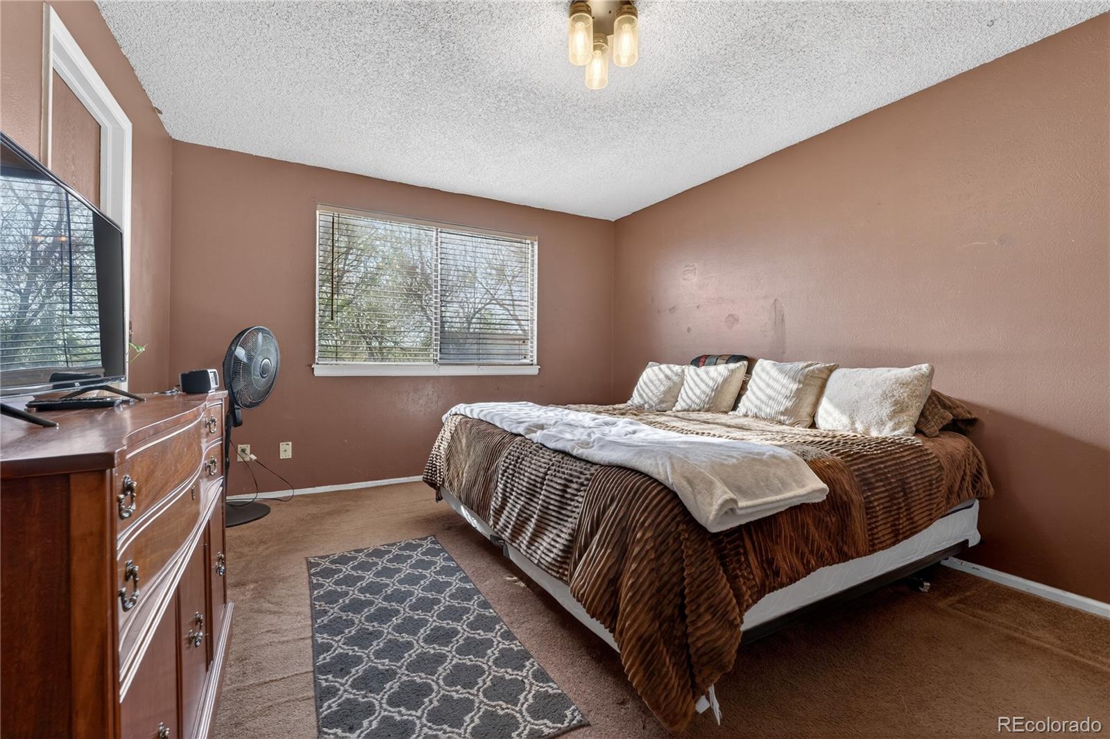4581 Fullerton Court Denver CO 80239