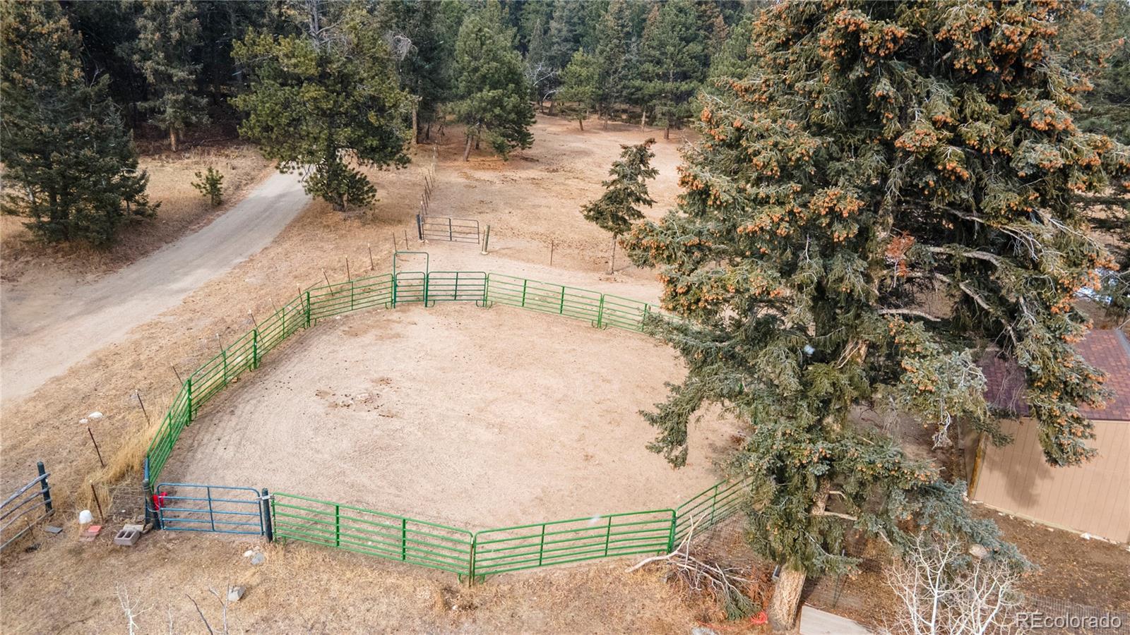 8830 Blue Creek Road Evergreen CO 80439