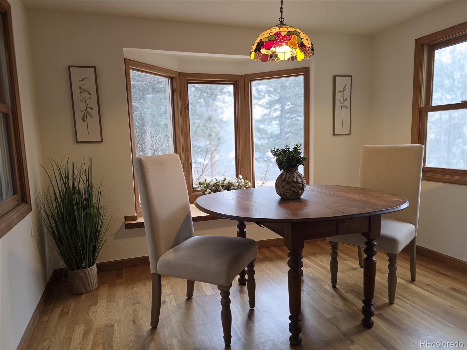 8830 Blue Creek Road Evergreen CO 80439