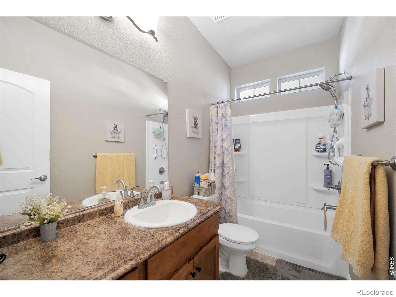 1210 Muskox Street Severance CO 80550