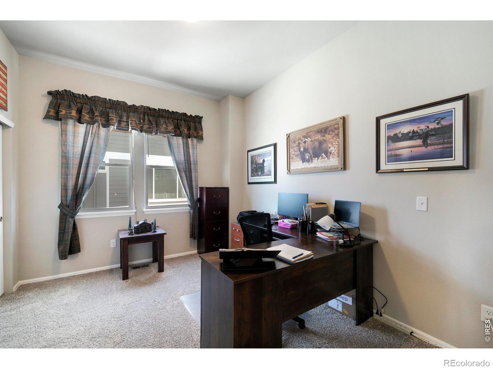 1210 Muskox Street Severance CO 80550