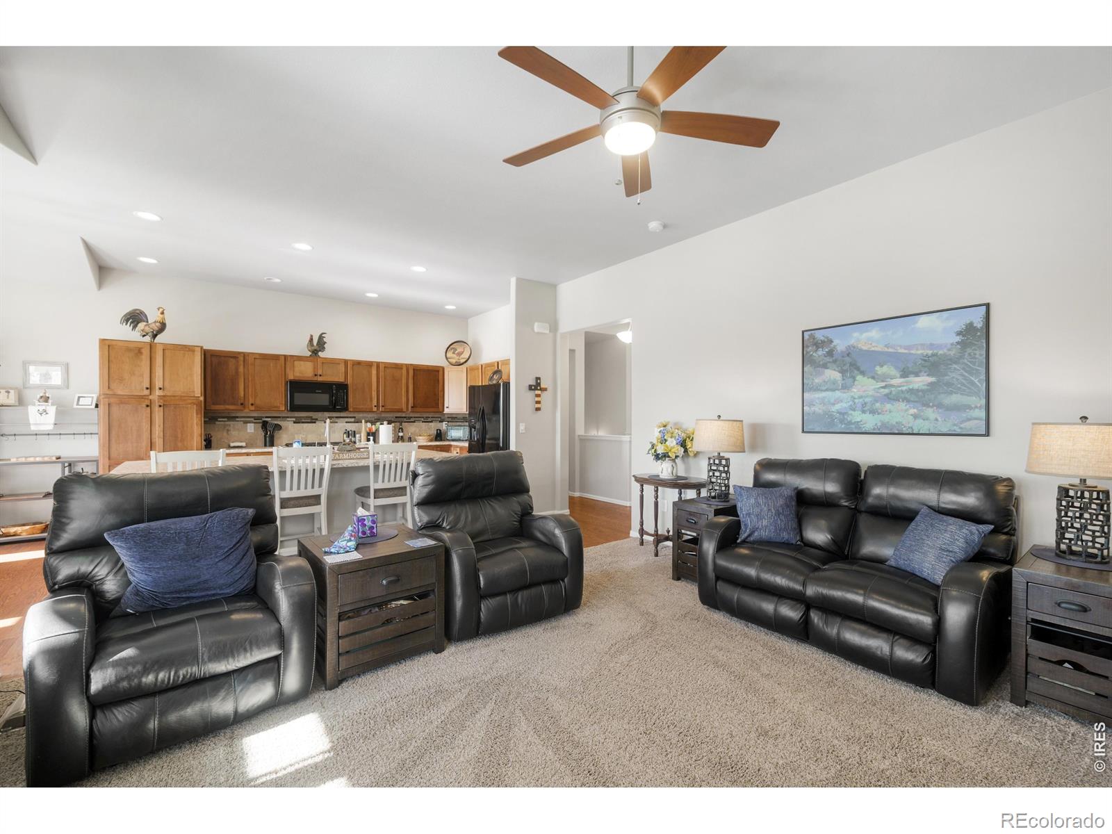 1210 Muskox Street Severance CO 80550
