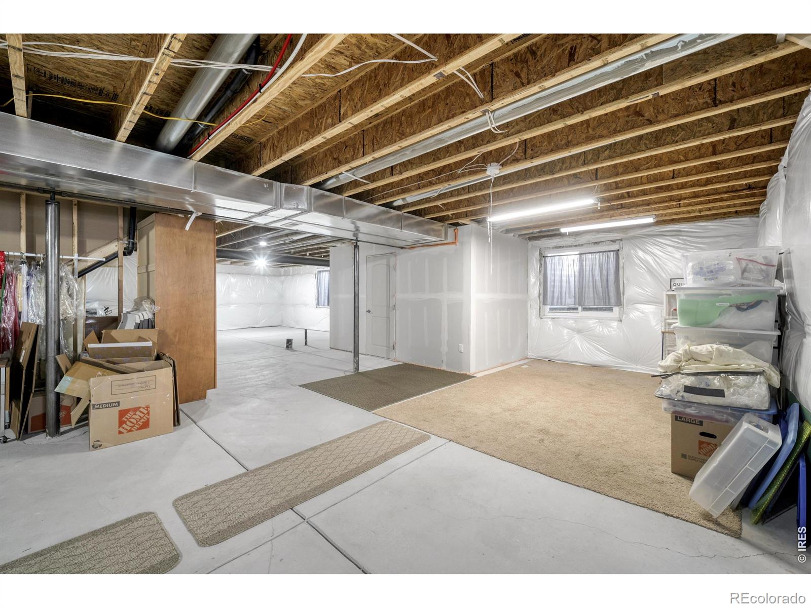 1210 Muskox Street Severance CO 80550
