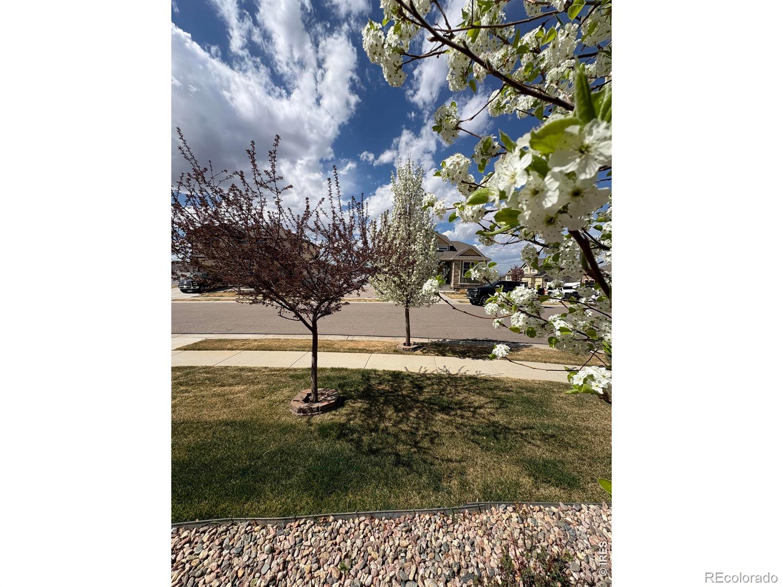 1210 Muskox Street Severance CO 80550