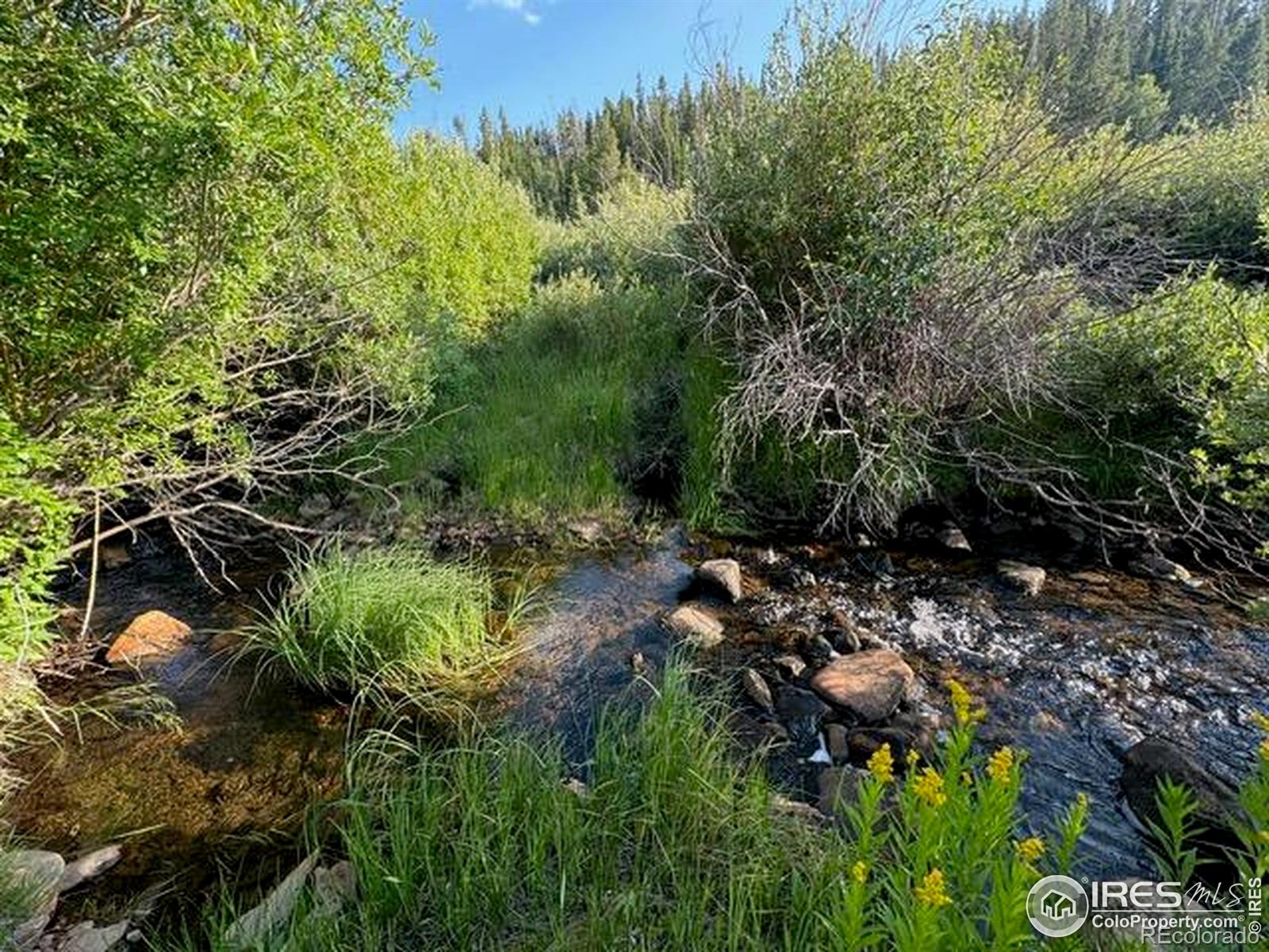 3400 Highway 127 Walden CO 80480