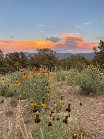 14463 Granite Parkway Salida CO 81201