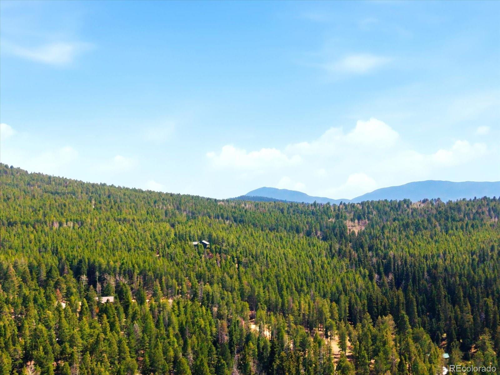 28084 Meadow Trail Conifer CO 80433
