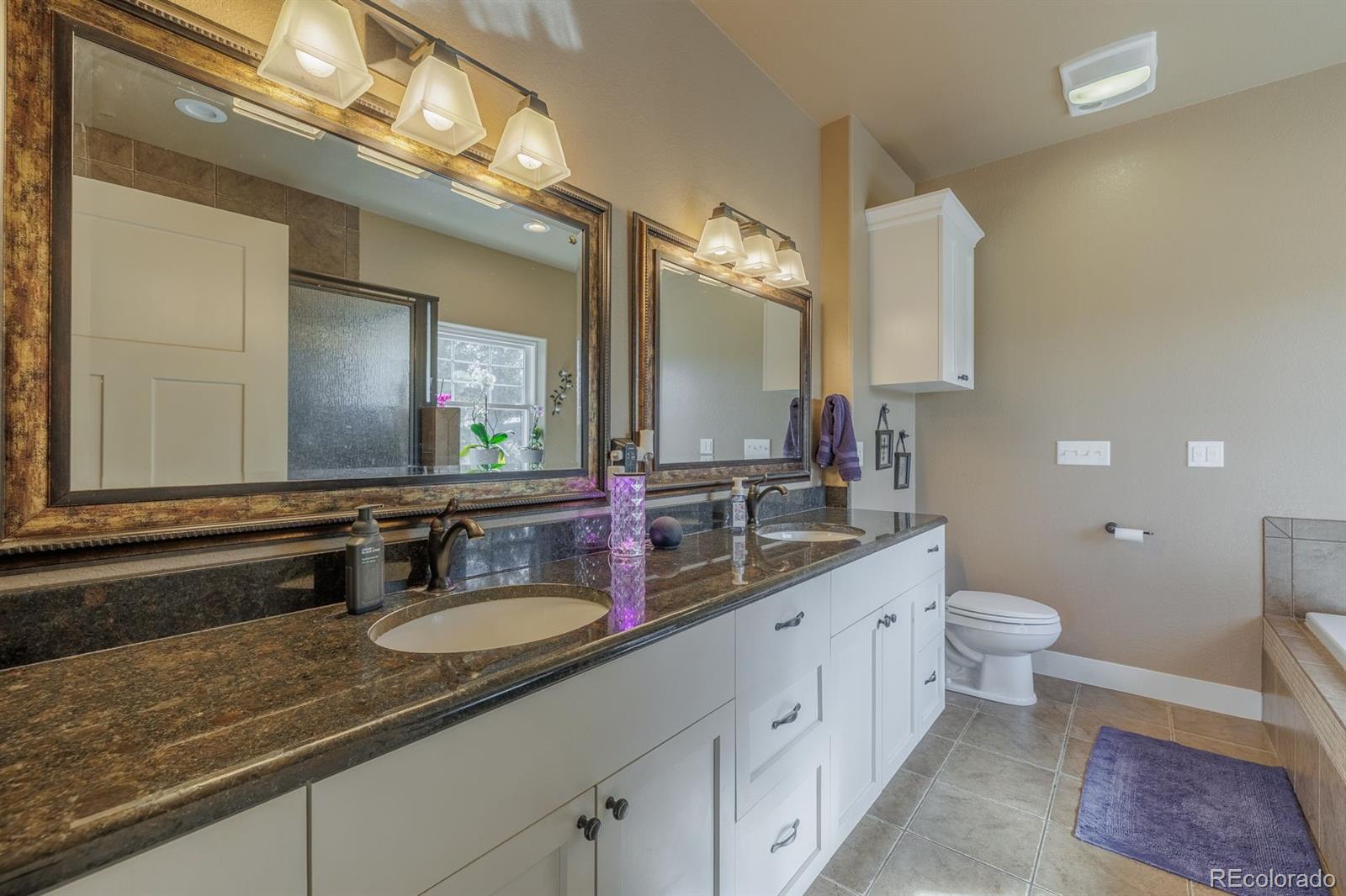 293 Daniwood Grove Florissant CO 80816