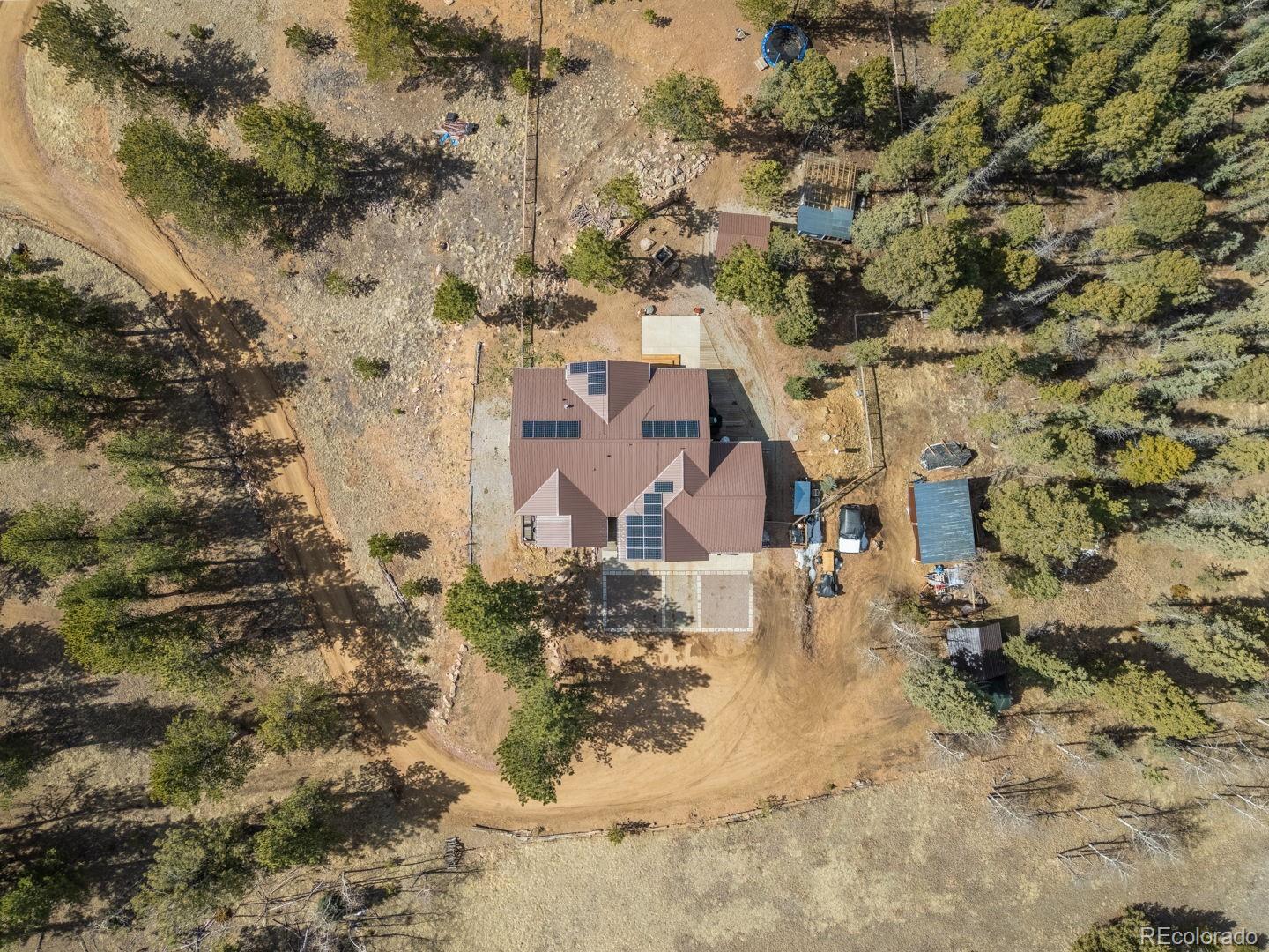 293 Daniwood Grove Florissant CO 80816