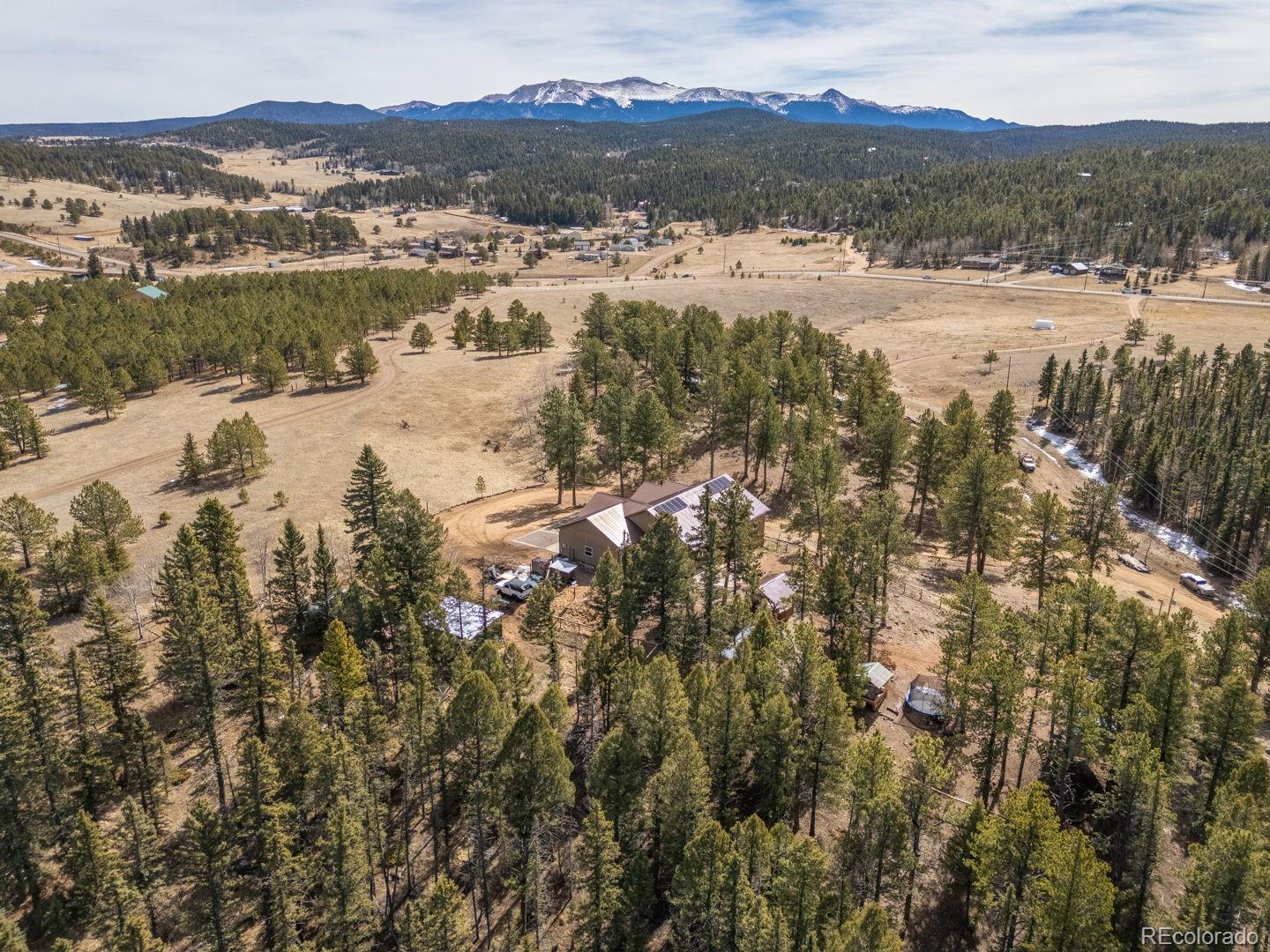 293 Daniwood Grove Florissant CO 80816