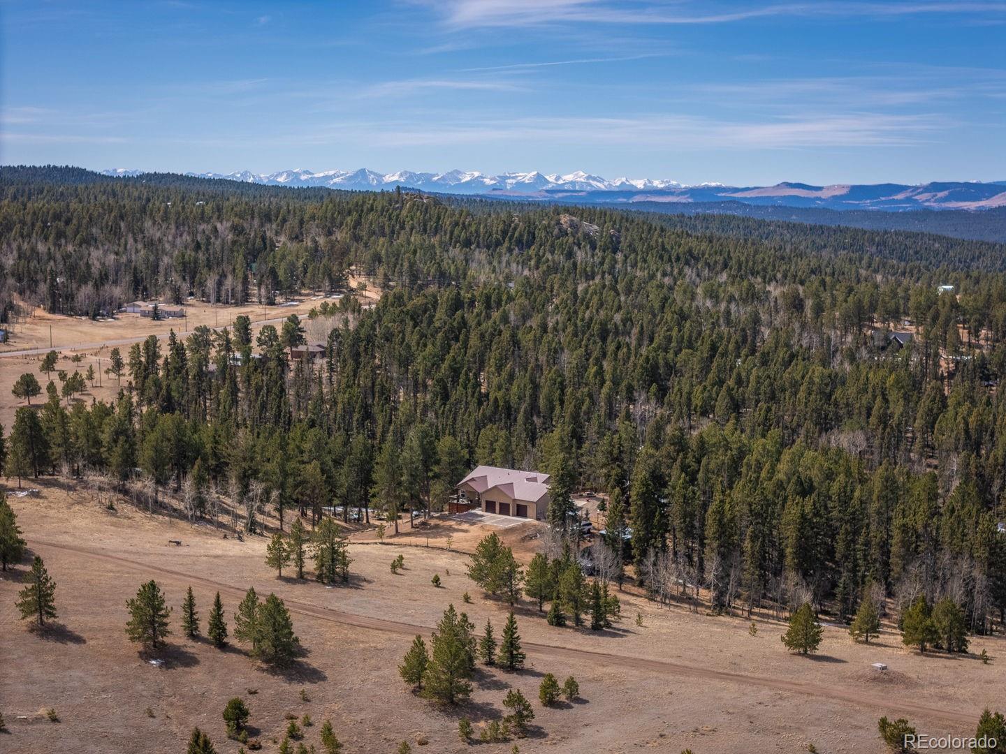293 Daniwood Grove Florissant CO 80816