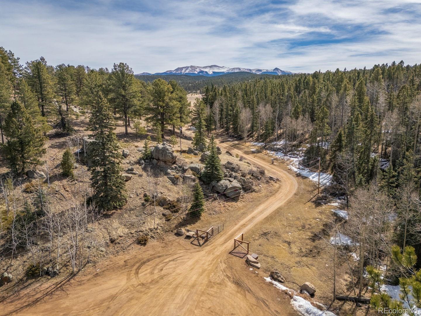 293 Daniwood Grove Florissant CO 80816