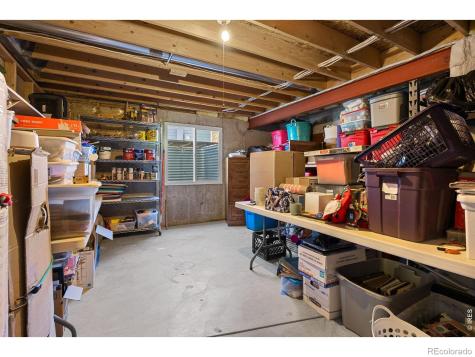 676 Trappers Place Windsor CO 80550