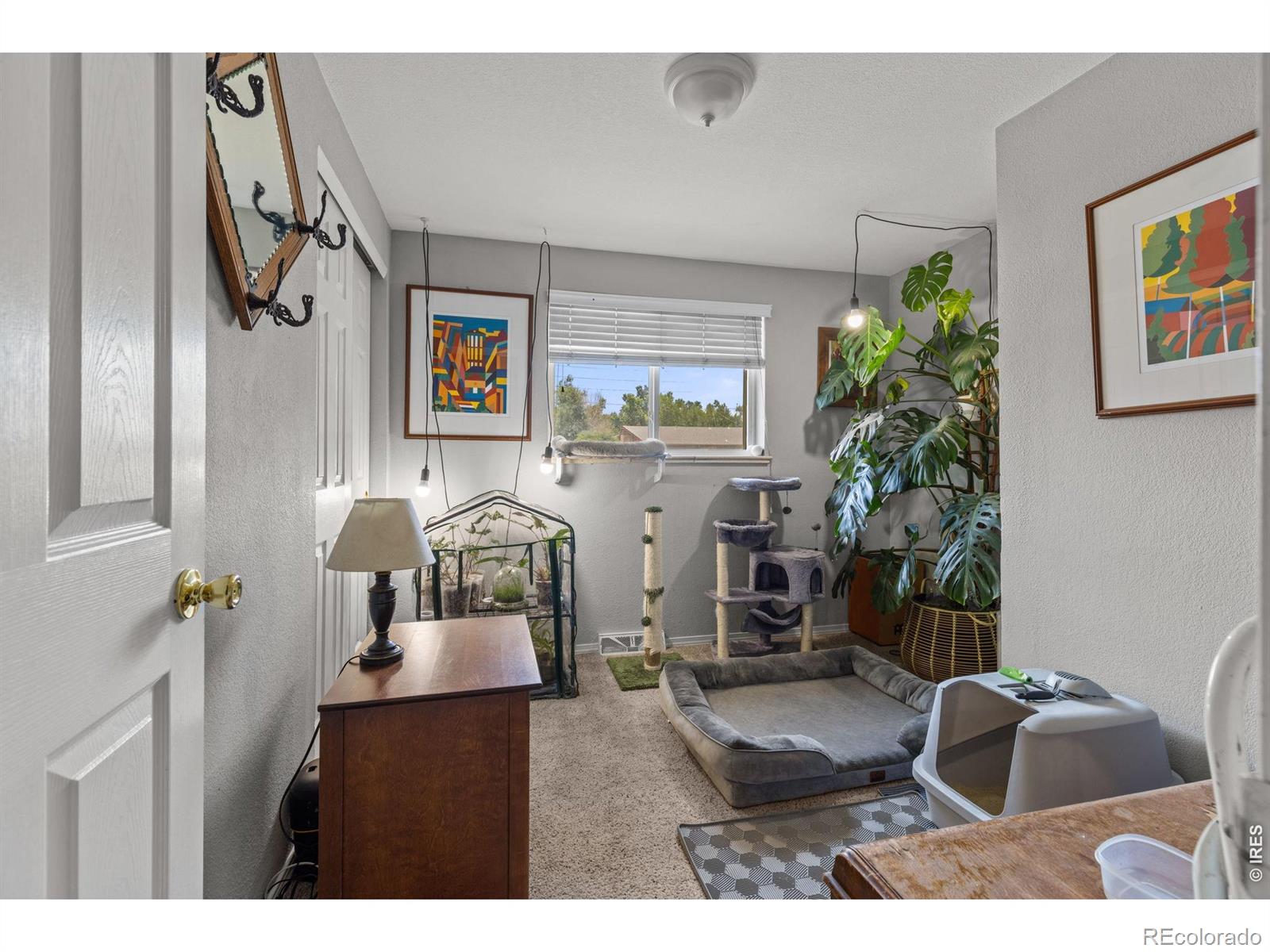 4653 Dover Street Wheat Ridge CO 80033