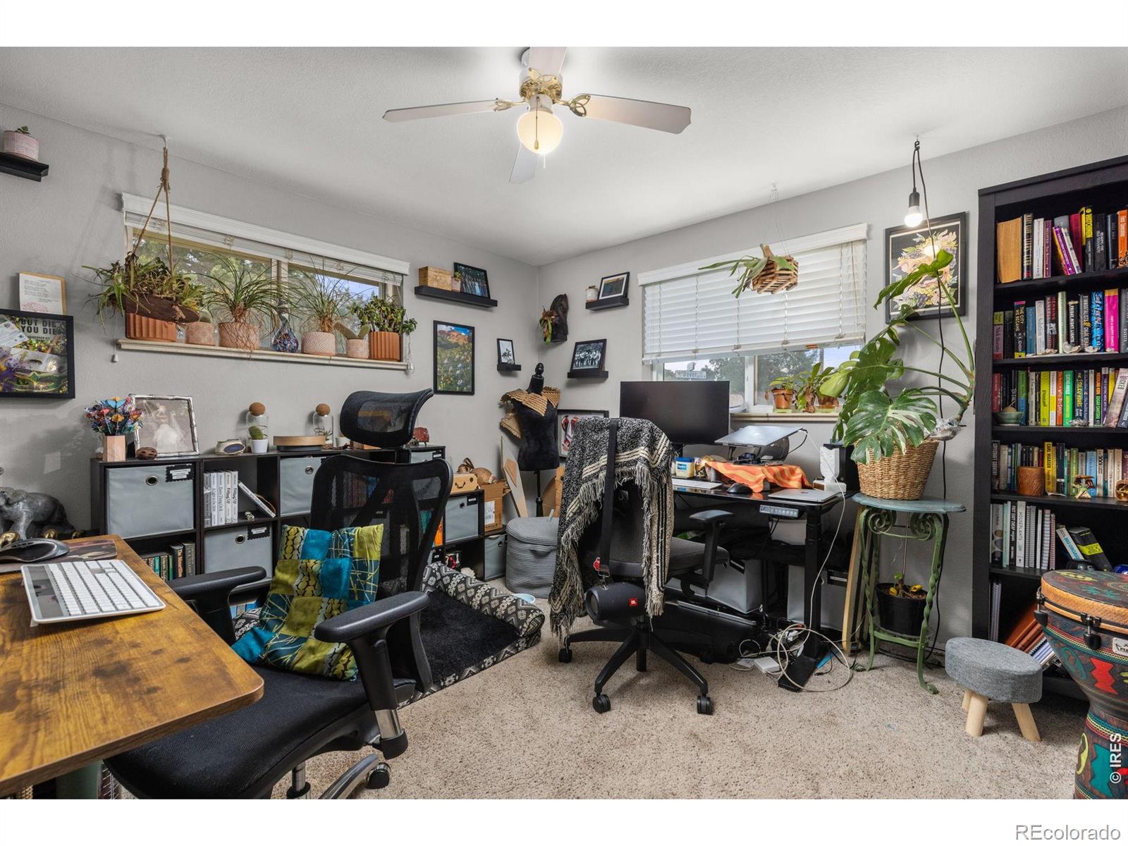 4653 Dover Street Wheat Ridge CO 80033