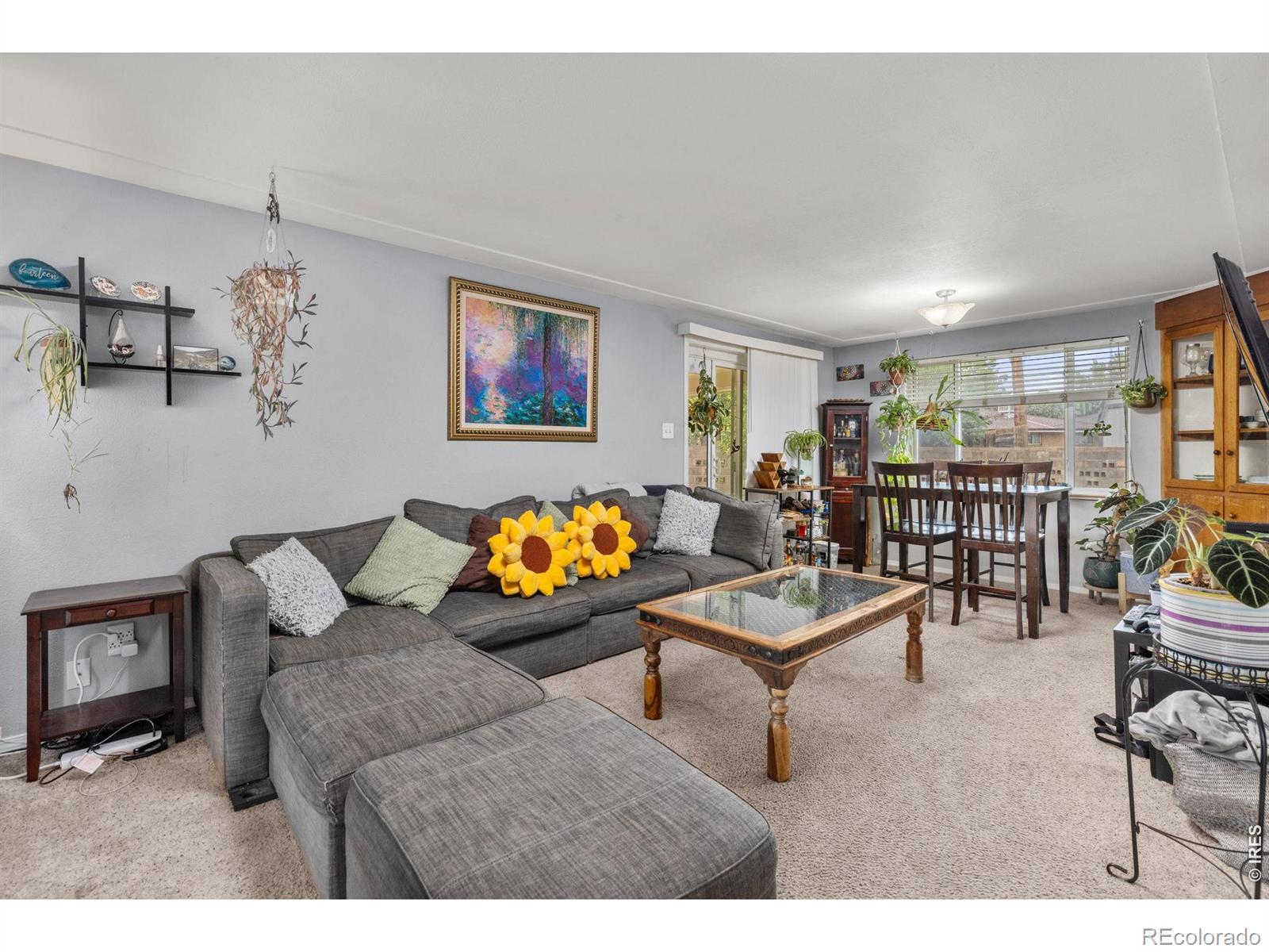 4653 Dover Street Wheat Ridge CO 80033