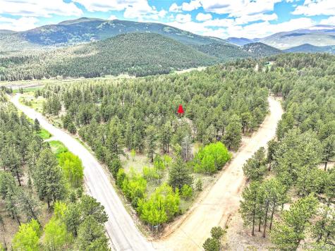 56 Bounty Hunter Lane Bailey CO 80421