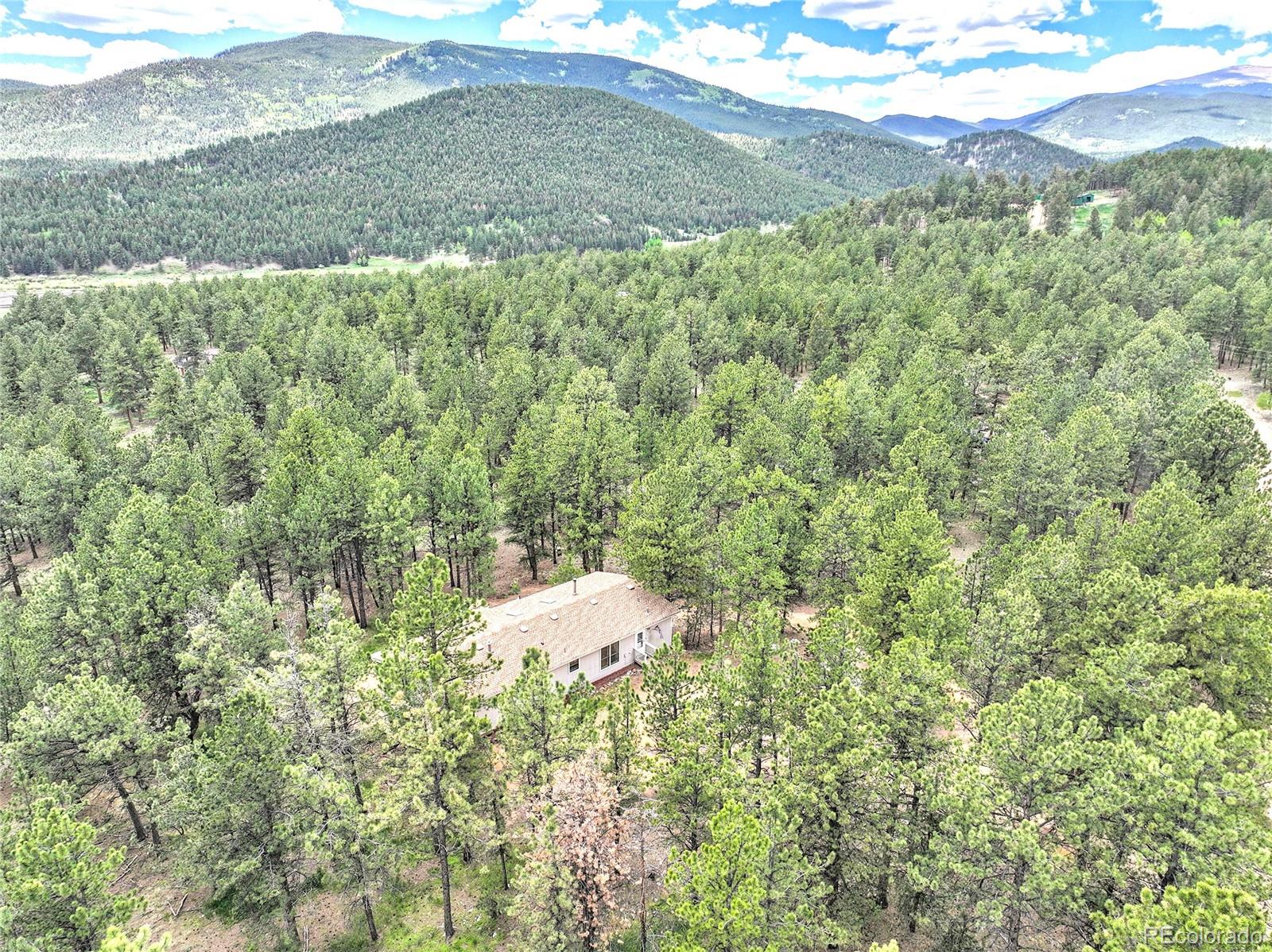 56 Bounty Hunter Lane Bailey CO 80421