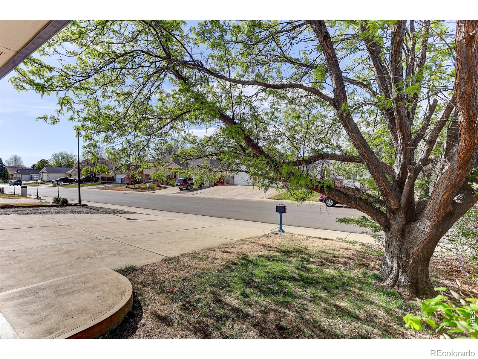 145 Falcon Circle Mead CO 80542