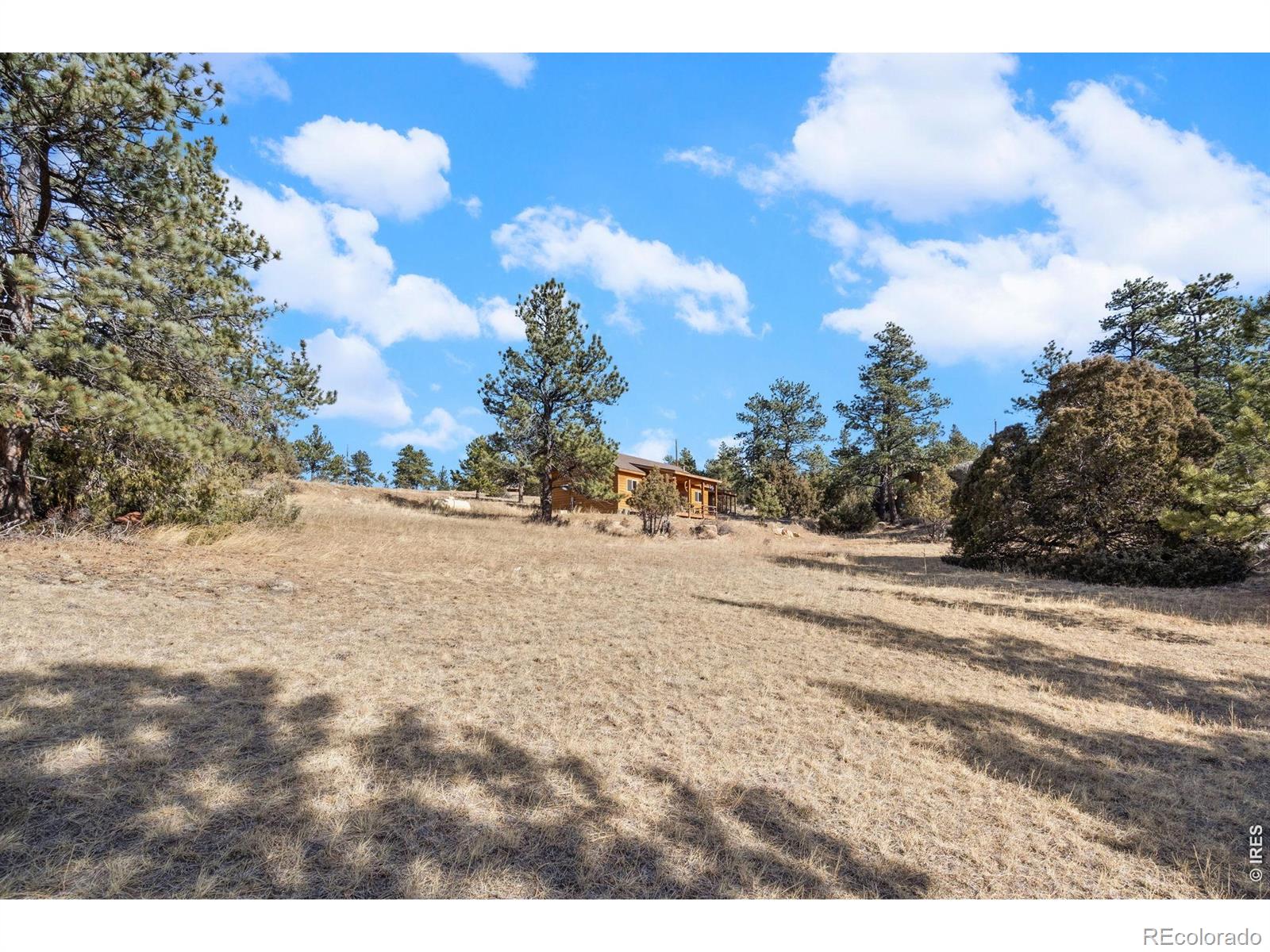 151 Mount Massive Drive Livermore CO 80536