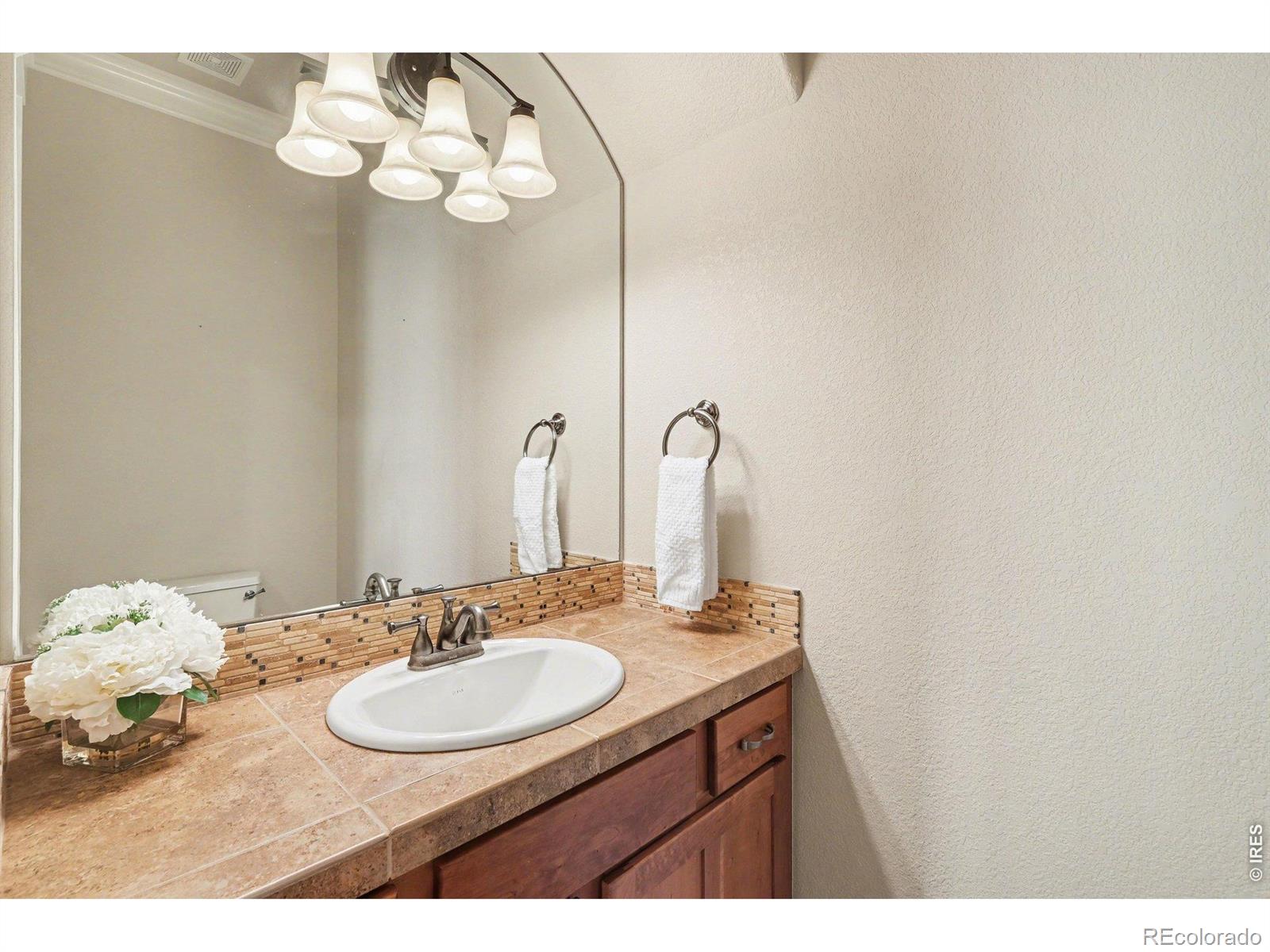 3628 Bidens Gate Drive Timnath CO 80547