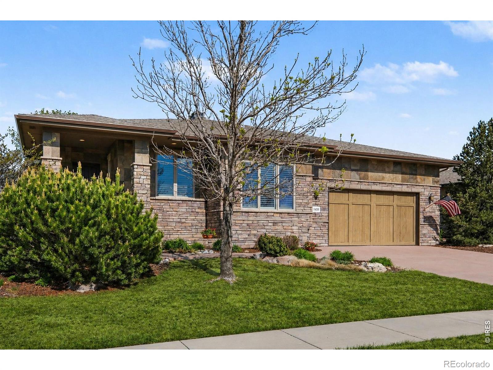 3628 Bidens Gate Drive Timnath CO 80547