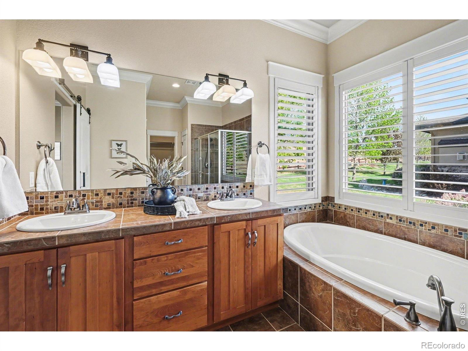 3628 Bidens Gate Drive Timnath CO 80547