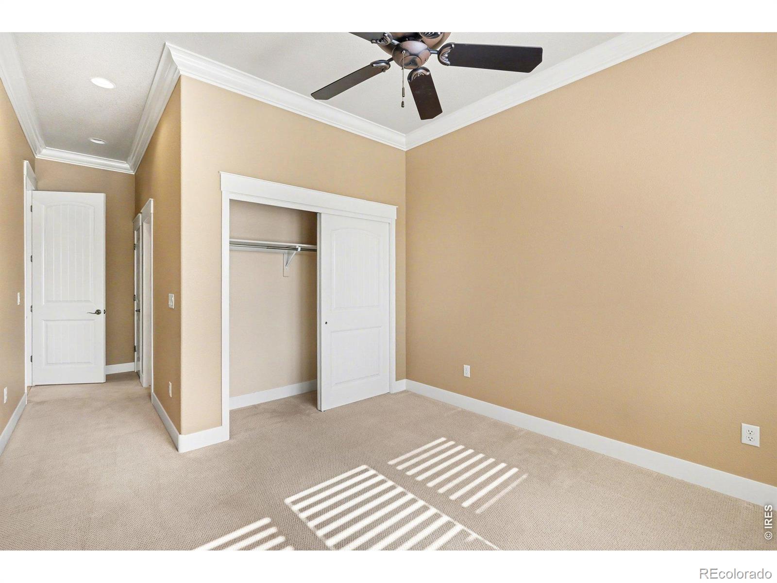 3628 Bidens Gate Drive Timnath CO 80547