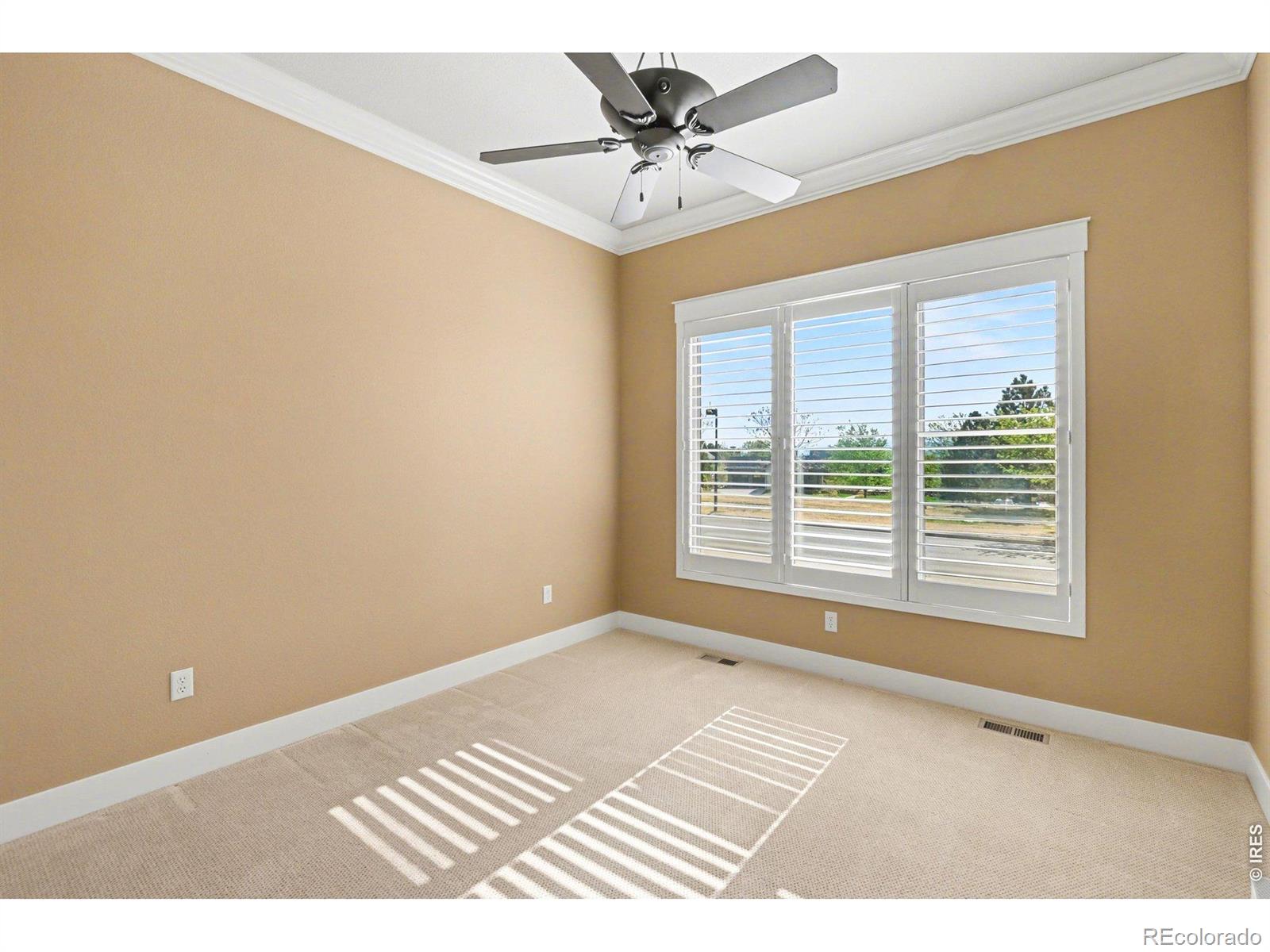 3628 Bidens Gate Drive Timnath CO 80547