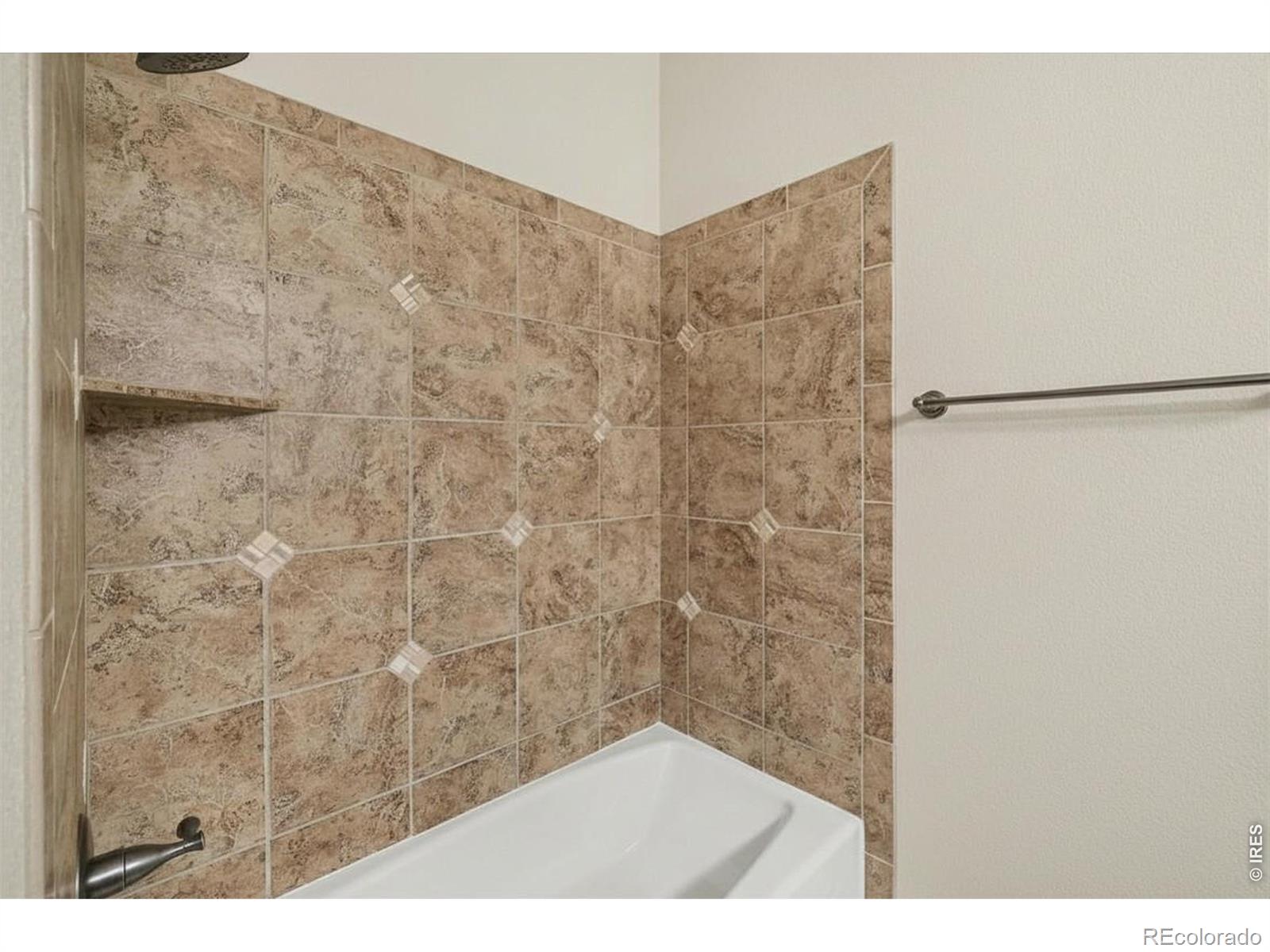 3628 Bidens Gate Drive Timnath CO 80547