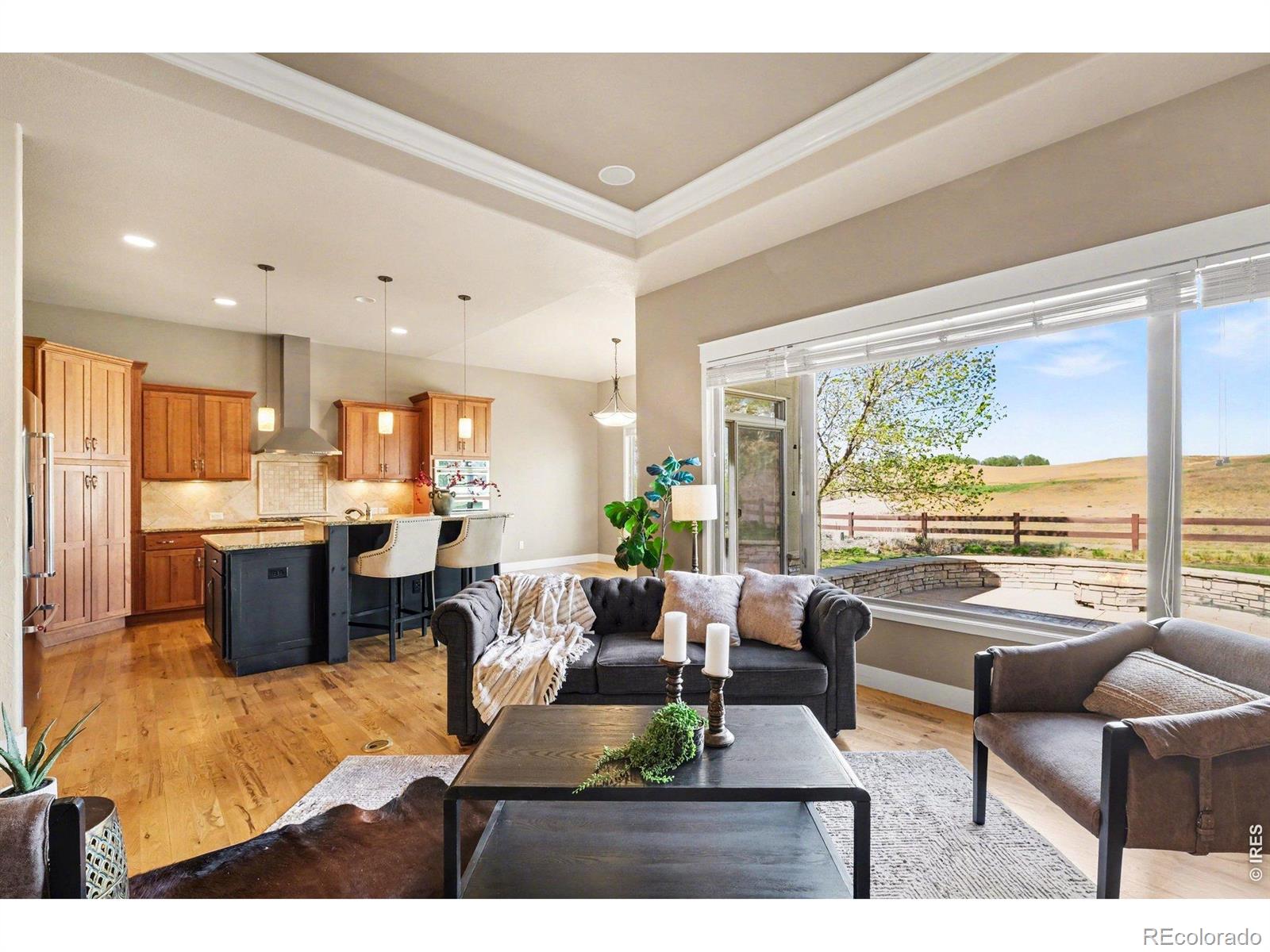 3628 Bidens Gate Drive Timnath CO 80547