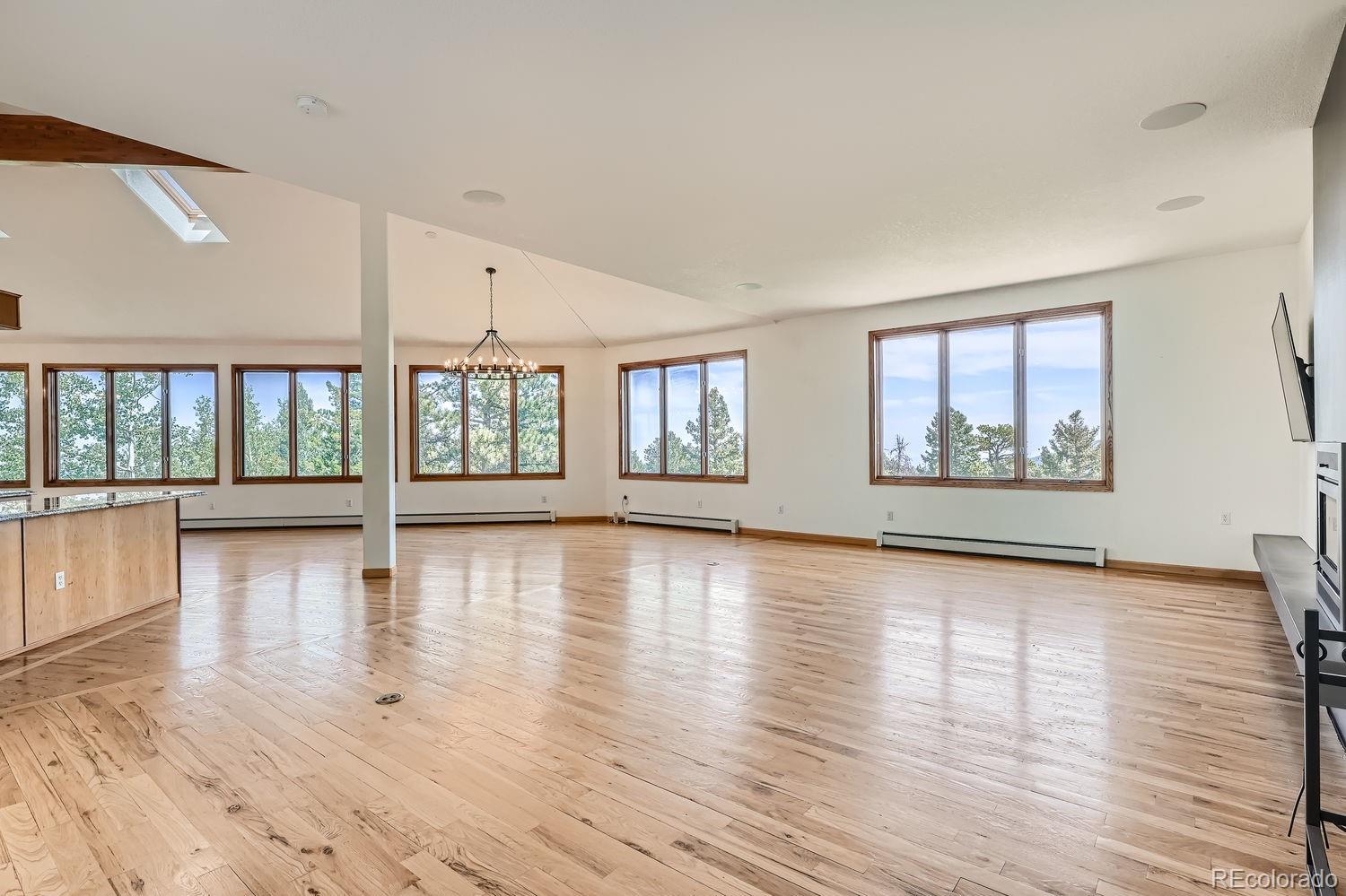30671 Bearcat Trail Conifer CO 80433