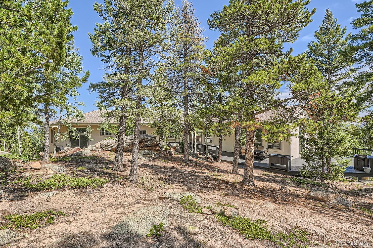 30671 Bearcat Trail Conifer CO 80433