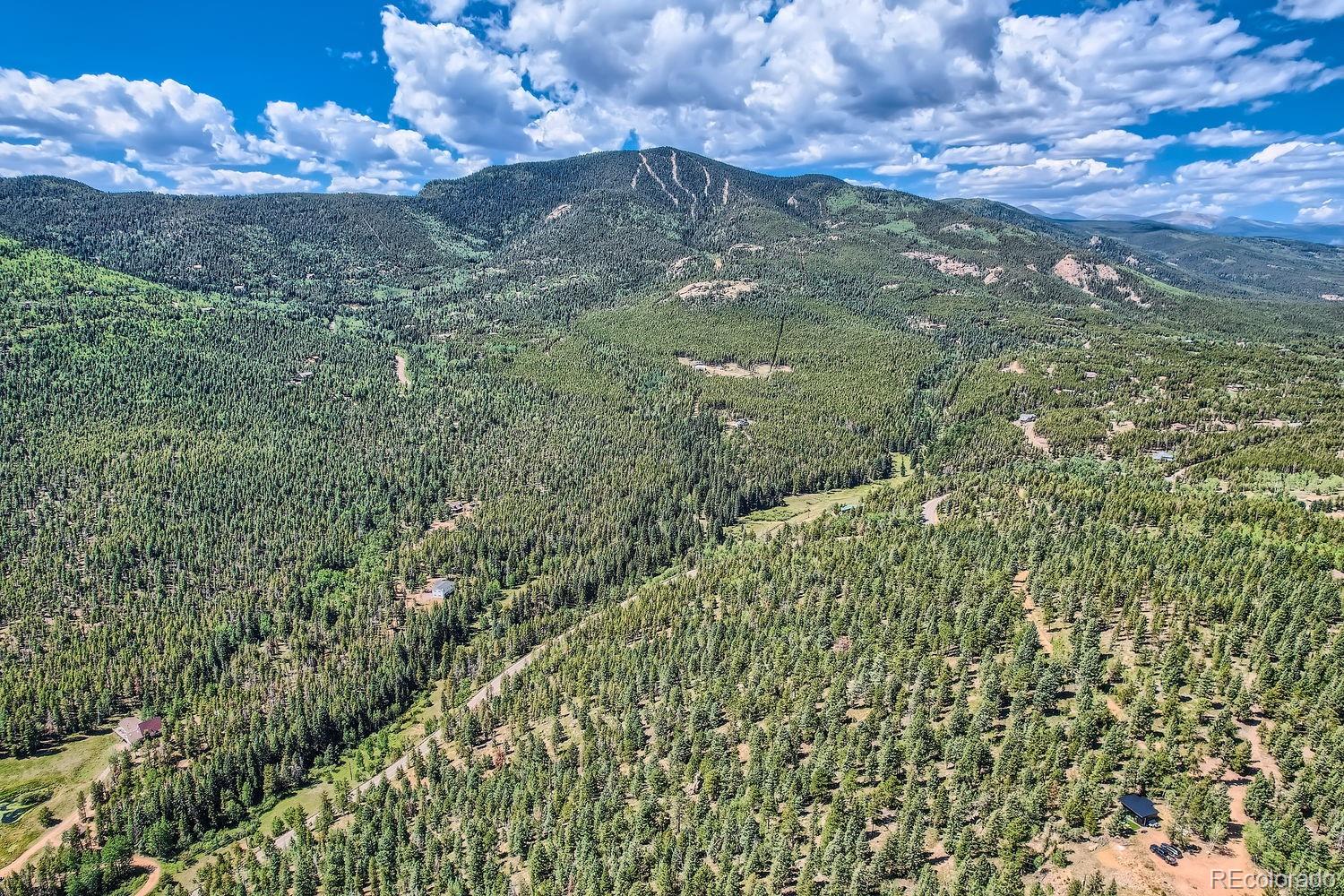 30671 Bearcat Trail Conifer CO 80433
