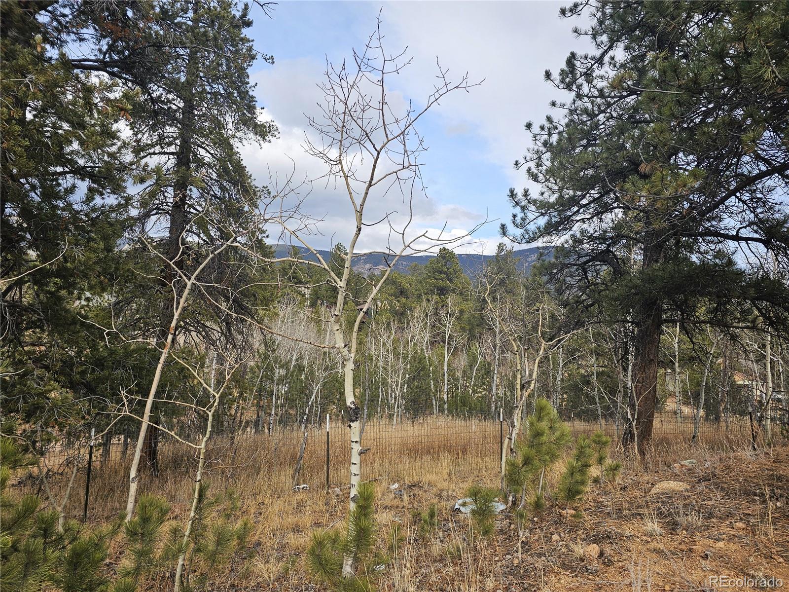 426 Houston Street Bailey CO 80421