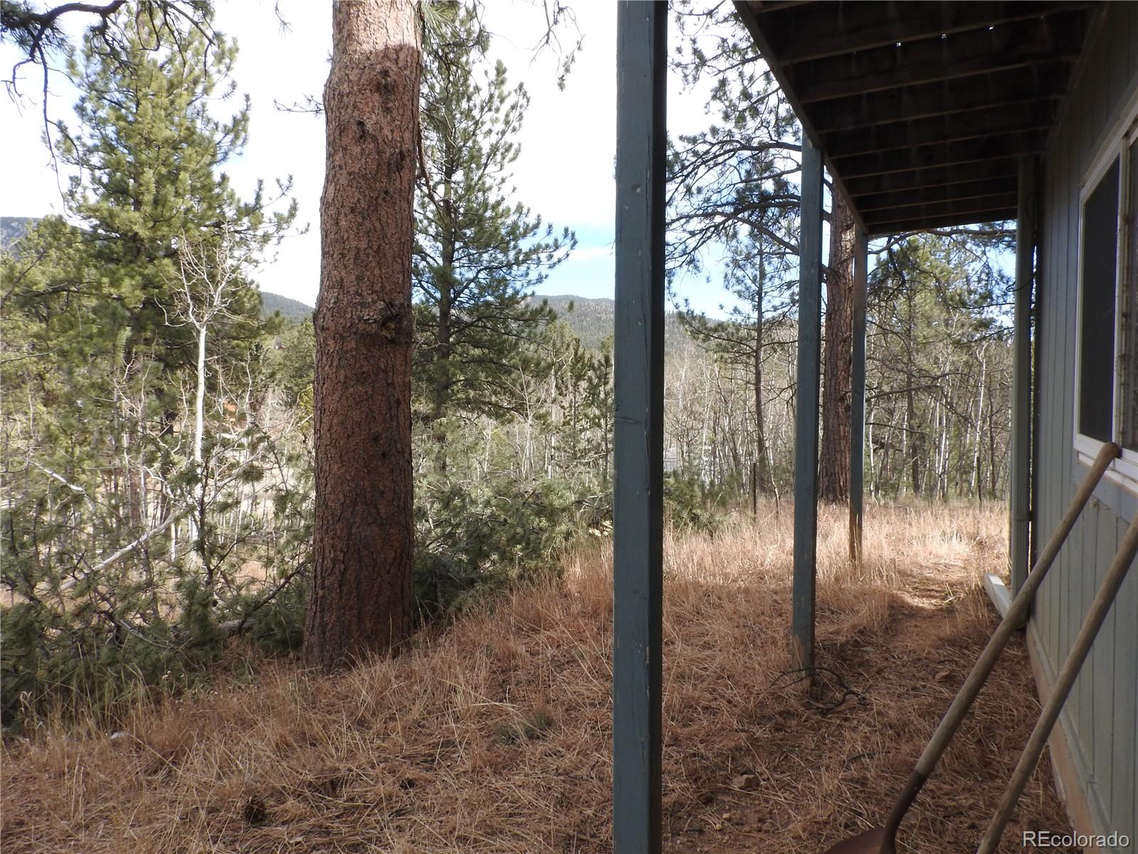 426 Houston Street Bailey CO 80421