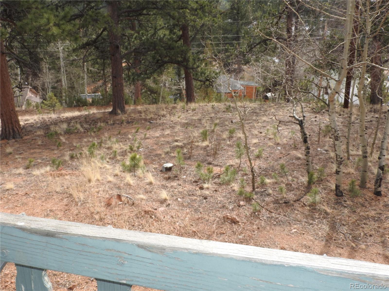 426 Houston Street Bailey CO 80421