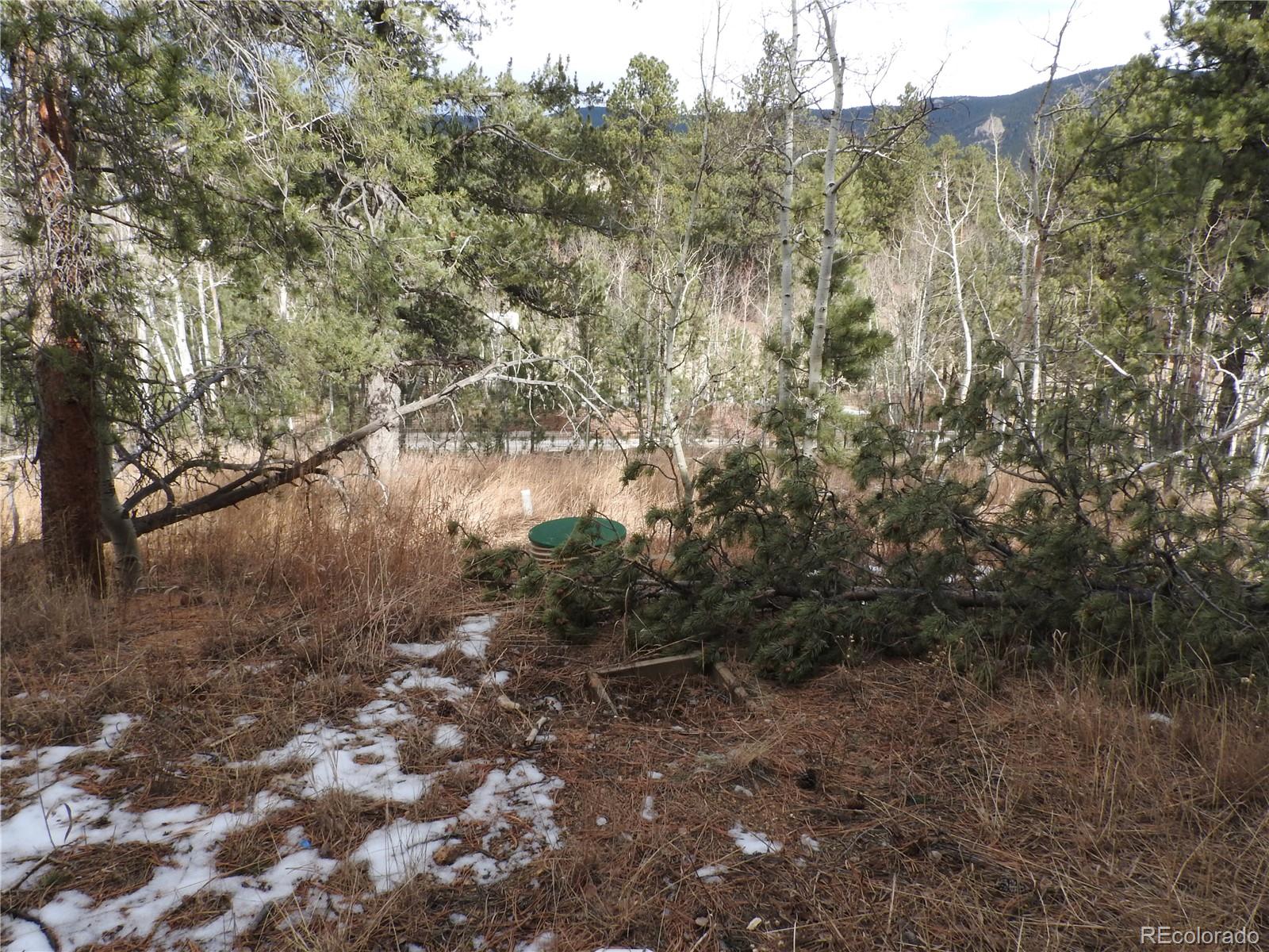426 Houston Street Bailey CO 80421