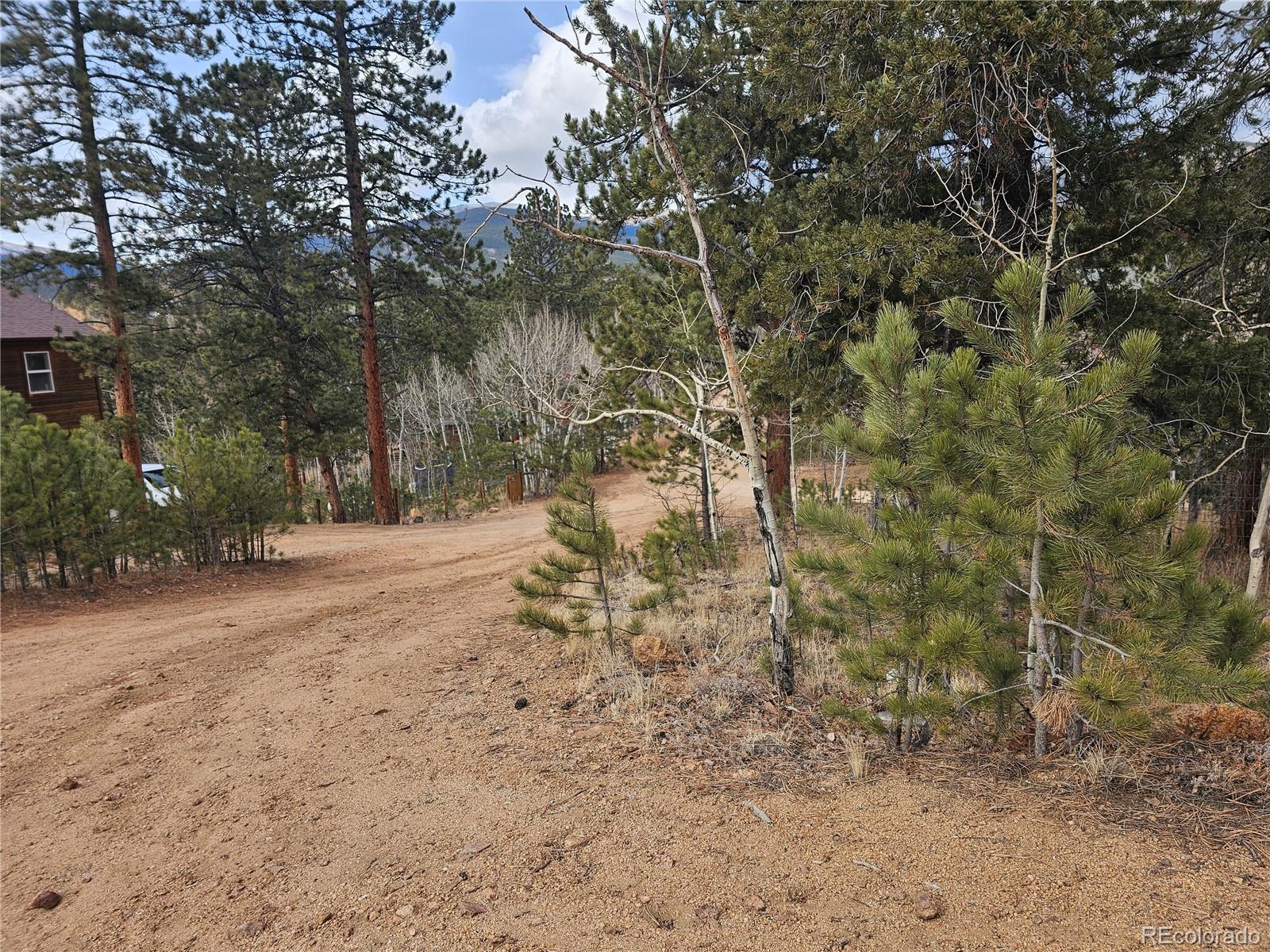 426 Houston Street Bailey CO 80421