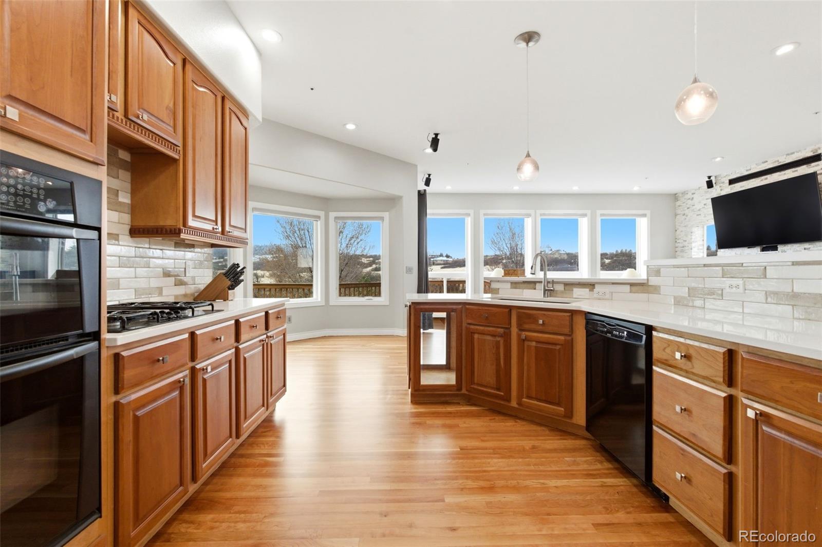 1168 Wintergate Circle Castle Rock CO 80104