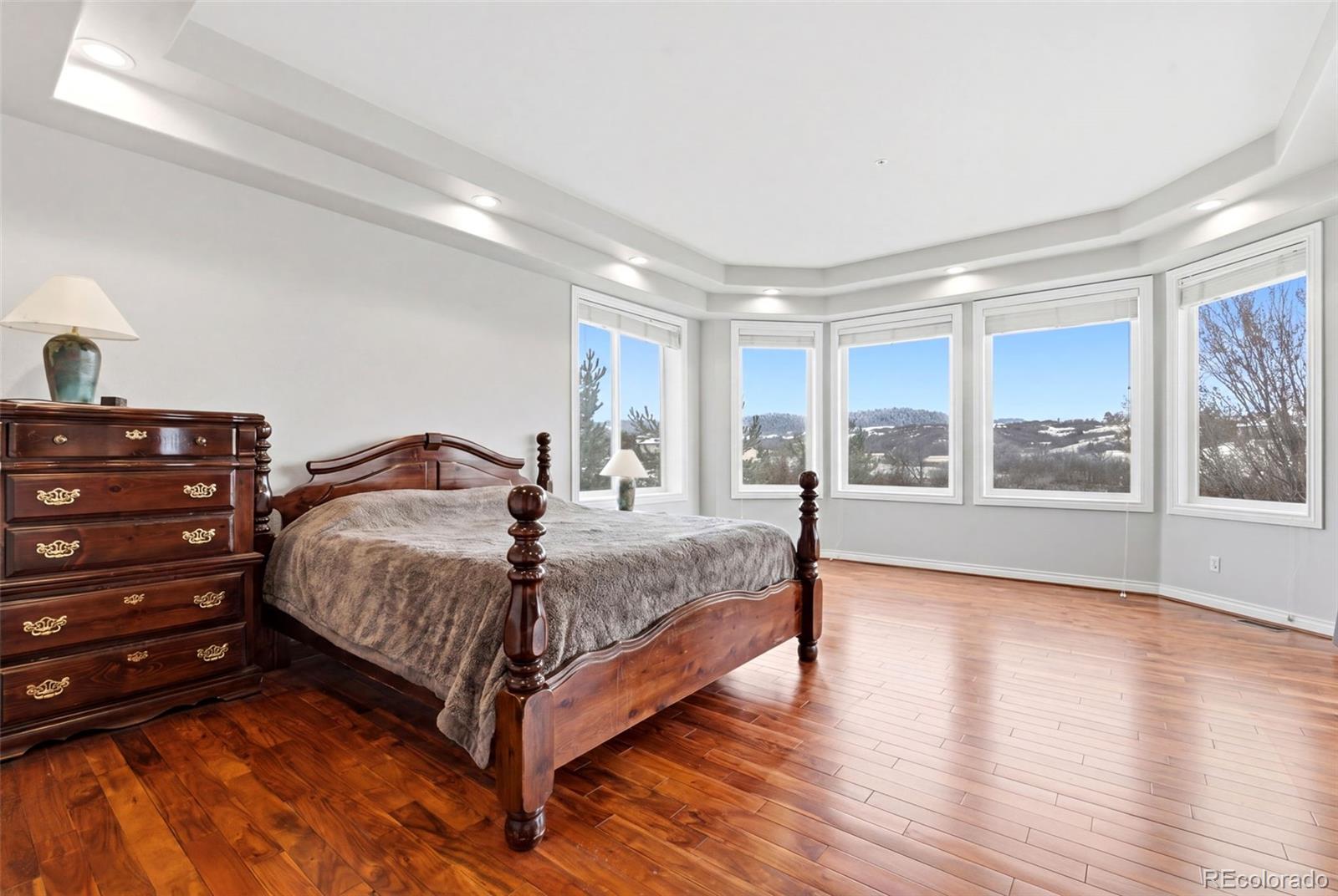 1168 Wintergate Circle Castle Rock CO 80104