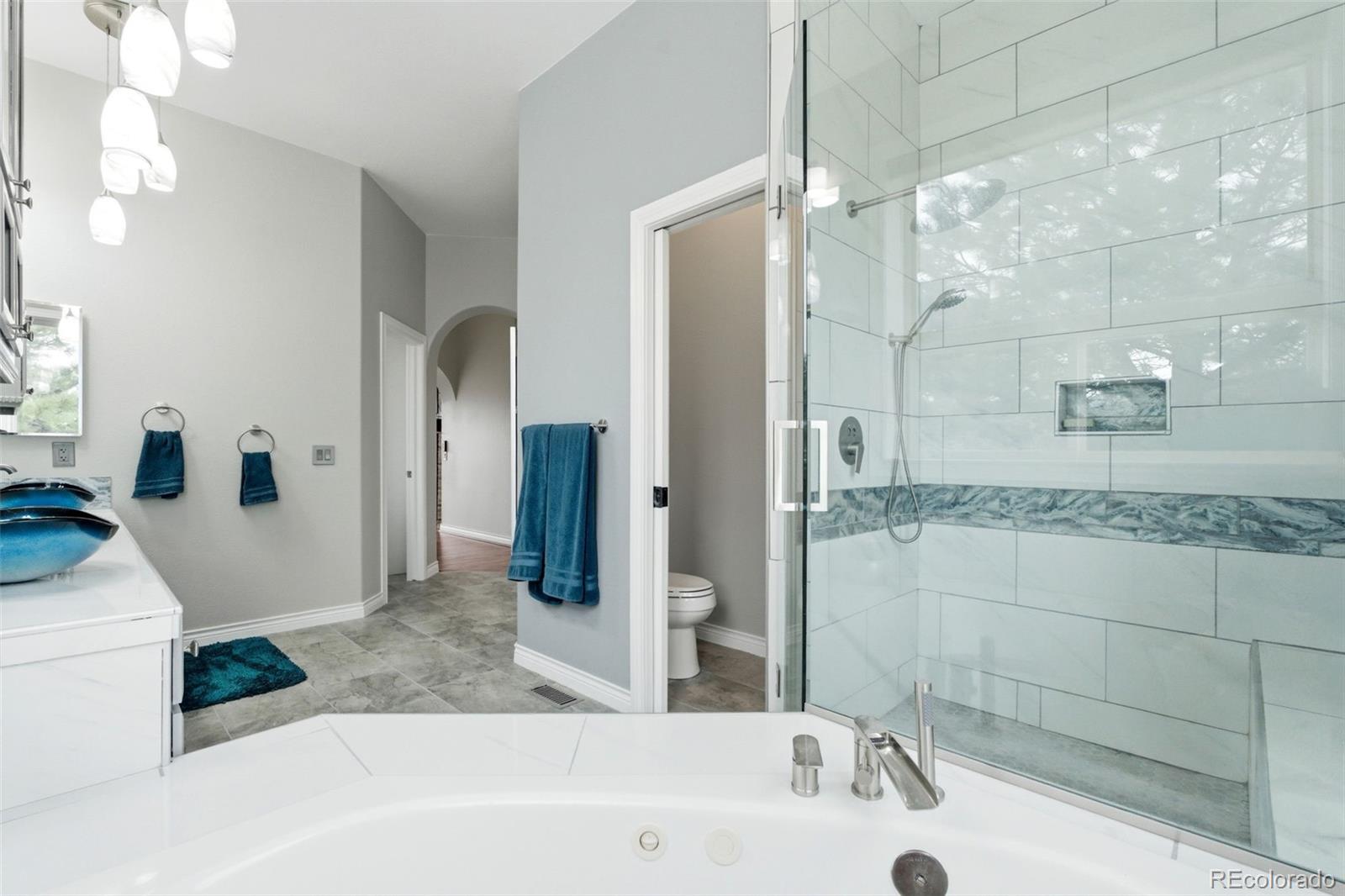 1168 Wintergate Circle Castle Rock CO 80104
