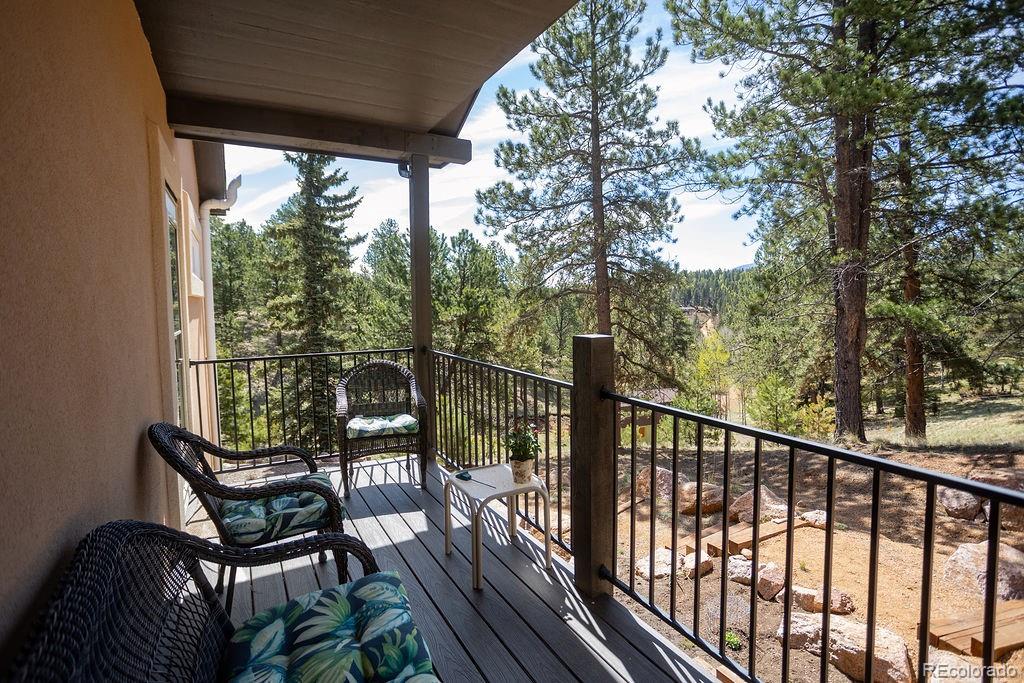 45 Valley Circle Divide CO 80814