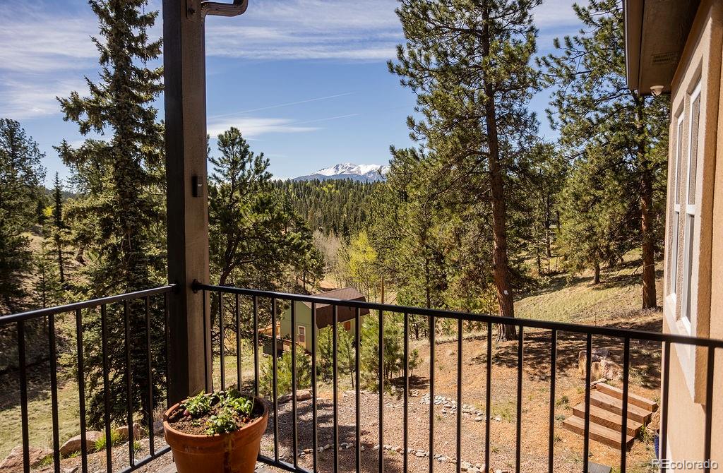 45 Valley Circle Divide CO 80814